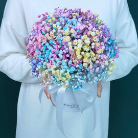 Rainbow gypsophila in a box