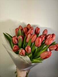 Krasnij tyul_pan 23 sht