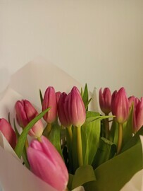 Rozovij tyul_pan 15 sht