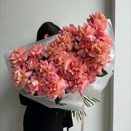 Моно из французских роз сорта Эрмоза