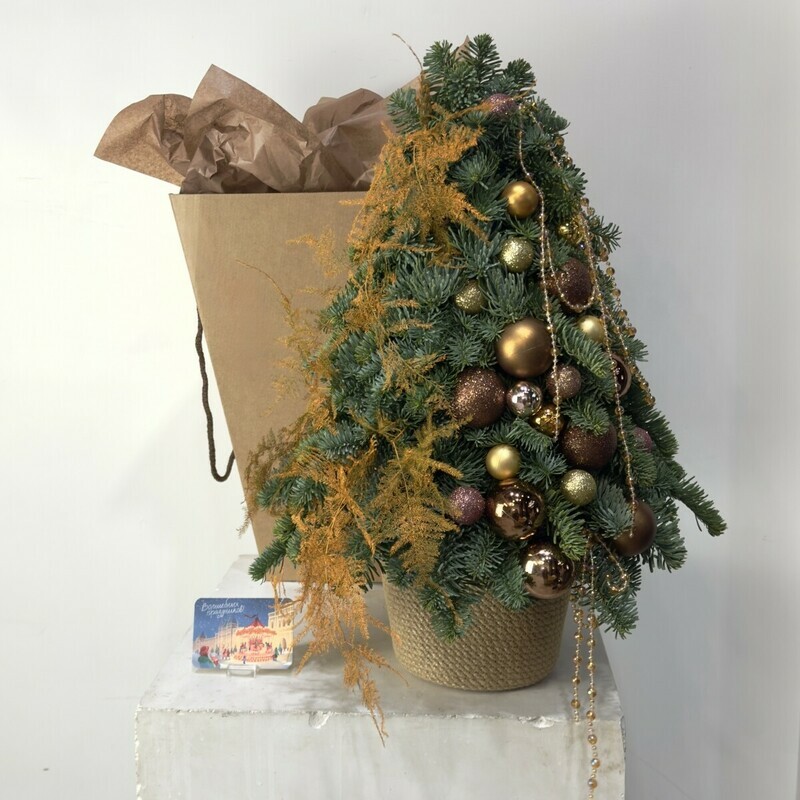 Elochka iz natural_noj datskoj pihti Nobilis iz kollektcii « Svet zimnego yantarya », standart