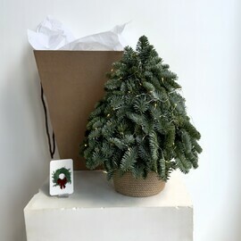 Elochka iz natural_nogo nobilisa s girlyandoj teplogo sveta v dzhutovom kashpo 40 sm