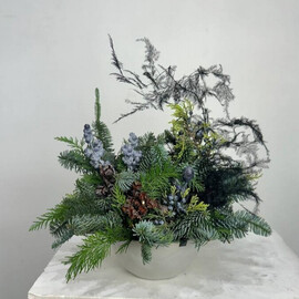Композиция в керамической пиале с плюмозусом и живой ароматной хвоей