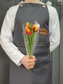 тюльпан красно-желтый 5шт