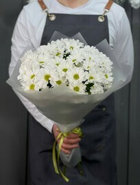 Buket iz hrizantem belih