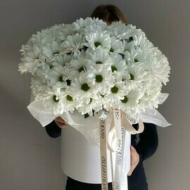 A composition in a hatbox made of chamomile chrysanthemum bushes 