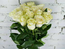 Buket 15 belih roz ekvador mondial_ 60 sm