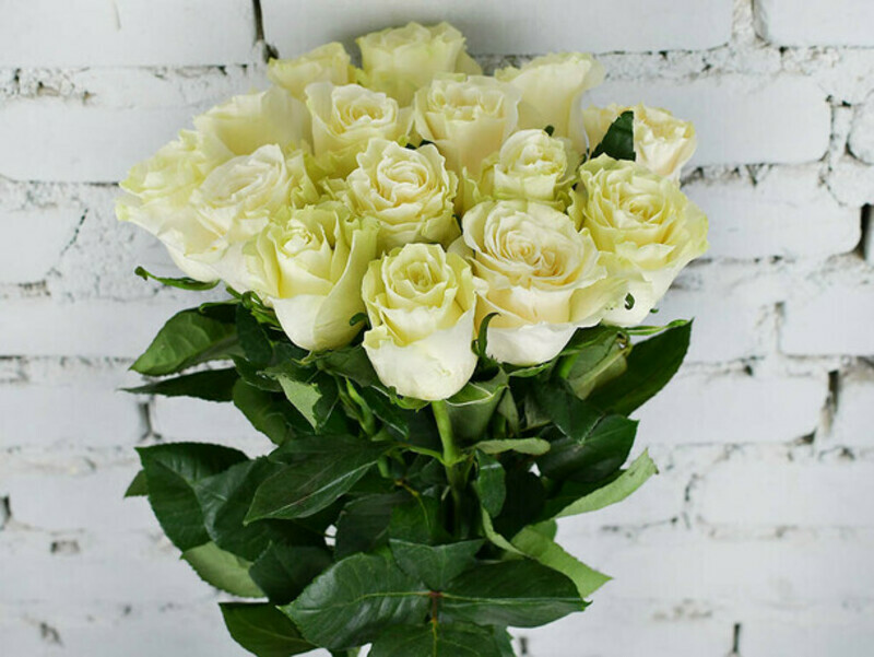 Букет 15 белых роз эквадор мондиаль 60 см, букет 15 белых роз эквадор мондиаль 60 см