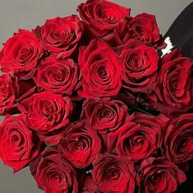 Buket krasnaya roza eksplorer