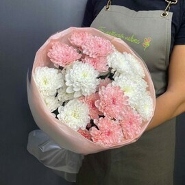 5 bush chrysanthemums 