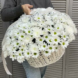 Basket with chrysanthemum