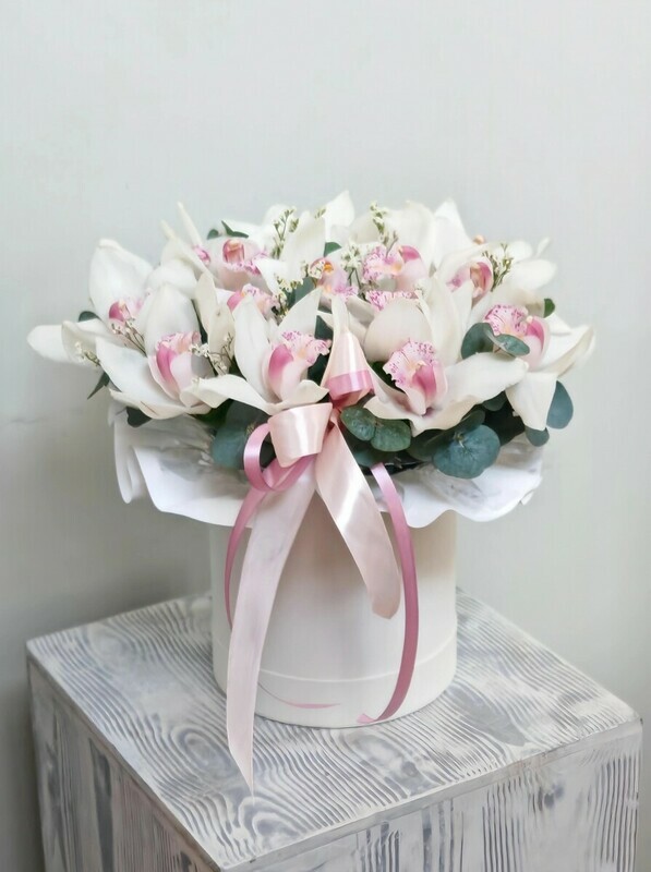 SHlyapnaya korobochka iz beloj orhidei., standart