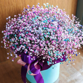 Цветная гипсофила 