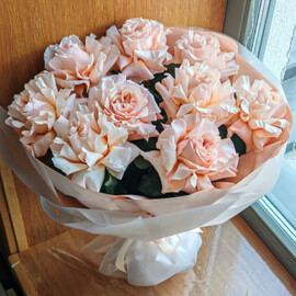 Персиковая французская роза 