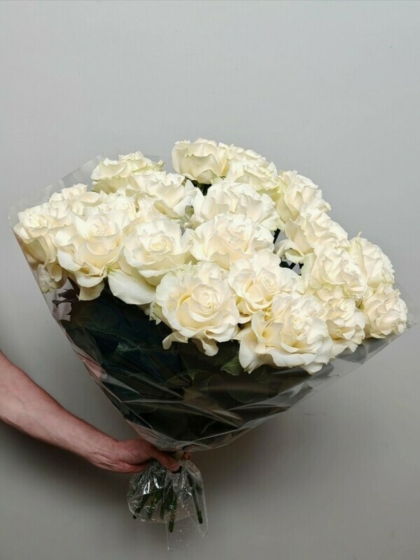 Белоснежная нежность , белоснежная нежность 