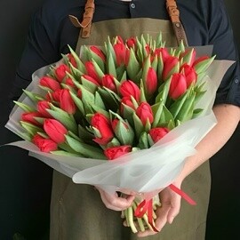 Тюльпаны красные 49 шт