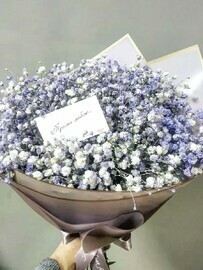 Gipsofila tcvetnaya 5 sht