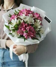 Al_stromeriya Miks 11 sht