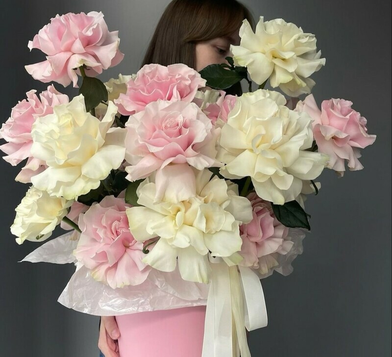 13 французских роз в коробке , нежная роскошь 