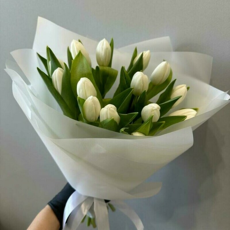 Tyul_pani 15 sht v upakovke, tyul_pani 15 v upakovke