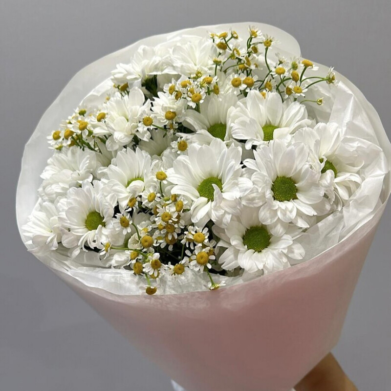 Хризантема с ромашкой, хризантема с ромашкой