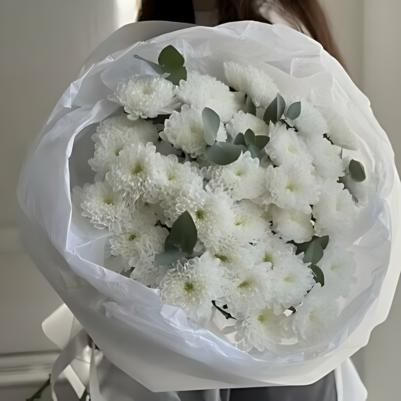 Хризантема ромашковая 5 шт в упаковке, хризантема ромашковая 5 шт в упаковке