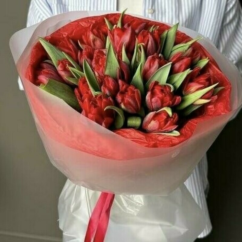 Tyul_pani krasnie 15 sht v upakovke, tyul_pani krasnie 15 sht v upakovke