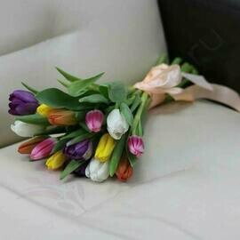 Tyul_pani miks 15sht