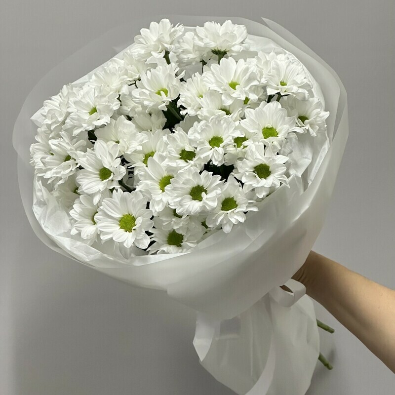 Buket iz 5 romashkovih hrizantem, buket iz 5 romashkovih hrizantem