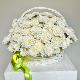 Korzina s hrizantemoj