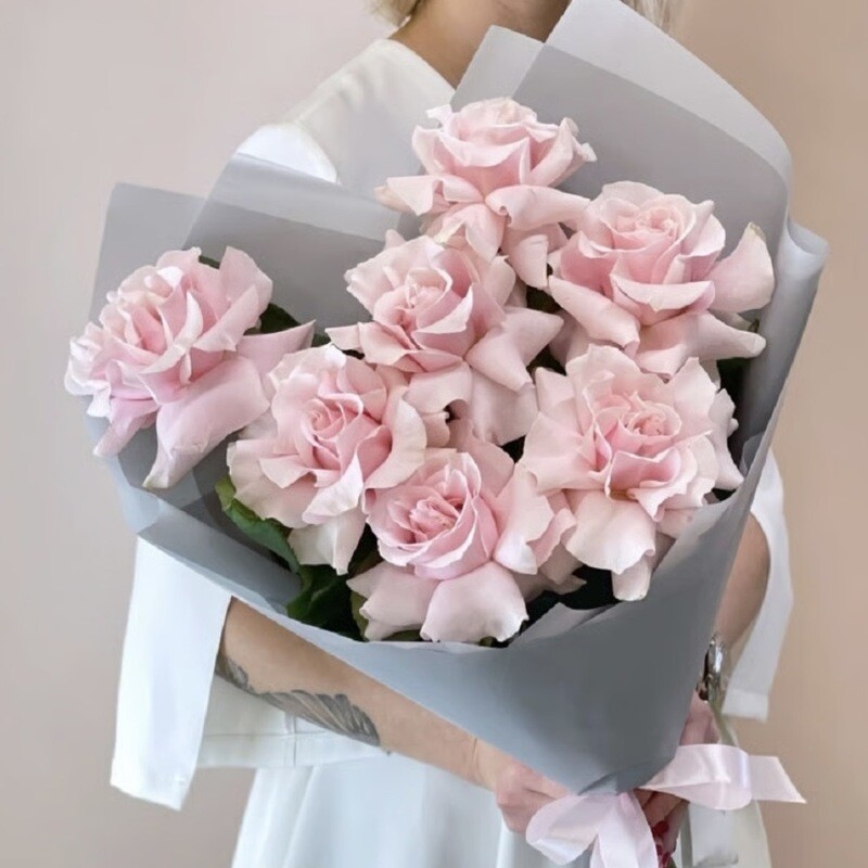 7 frantcuzskih rozovih roz, 7 frantcuzskih rozovih roz