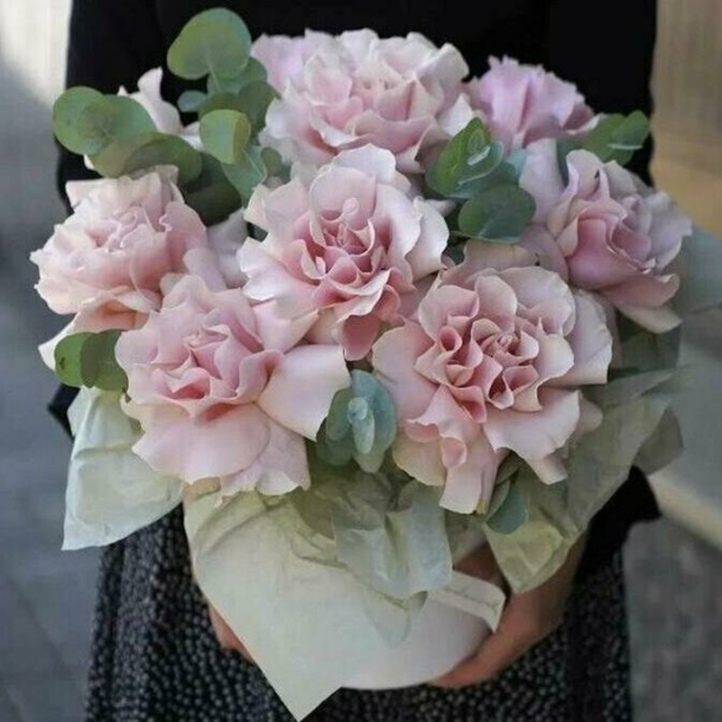 Французская Роза с эвкалиптом в коробке, роза французская с эвкалиптом в коробке 