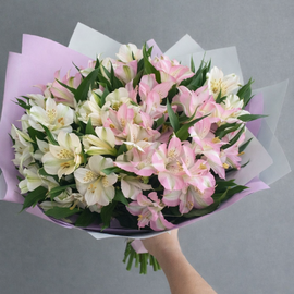 Al_stromeriya miks 15 sht