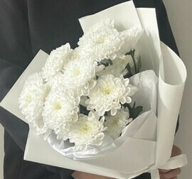 Buket «Belosnezhka»