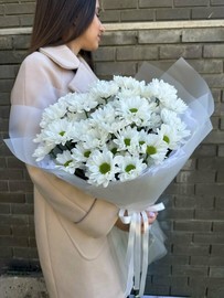 7 Кустовых хризантем в упаковке 