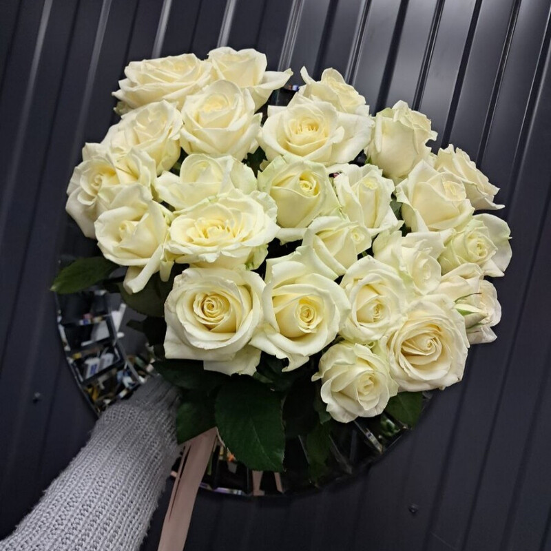 25 belih roz pod lentu, belaya roza