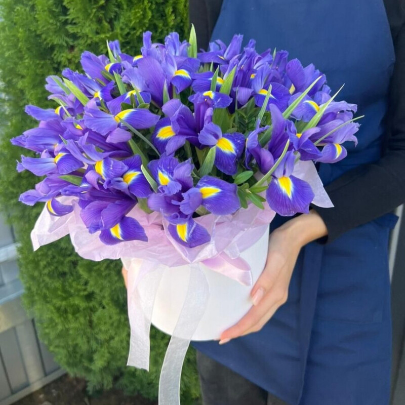 Коробка с ирисами, стандартный