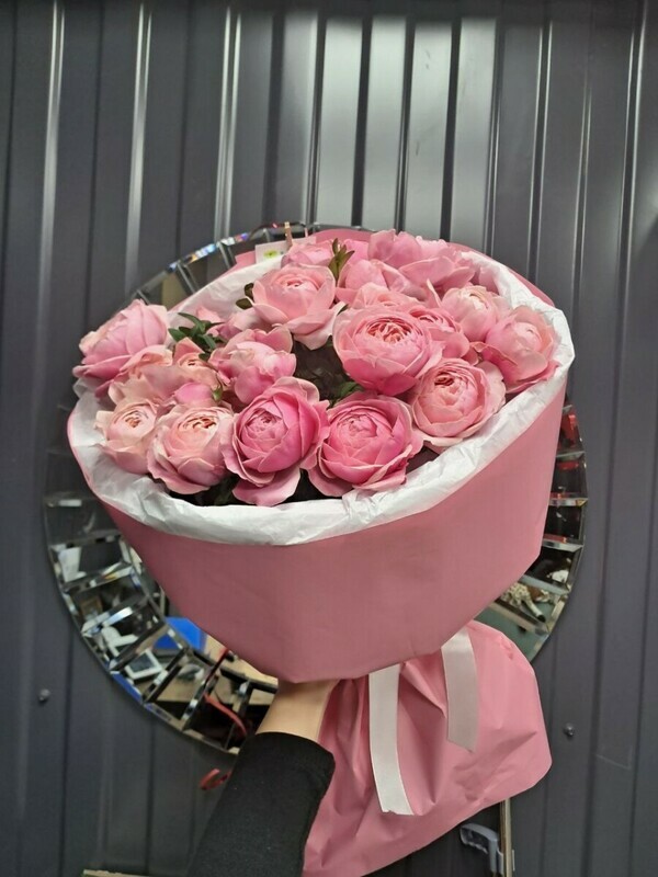 Пионовидная роза сильва пинк, стандартный