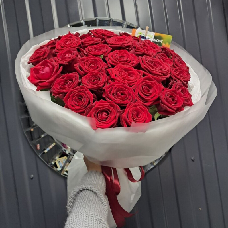 31 красная роза , премиум
