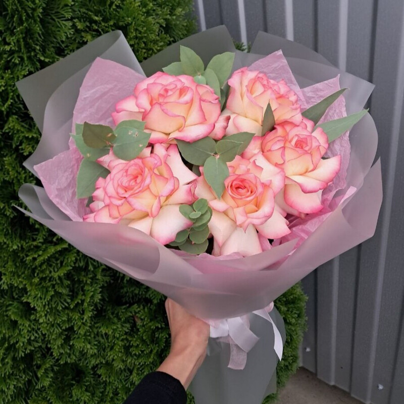 Джумилия Французская , уменьшенный