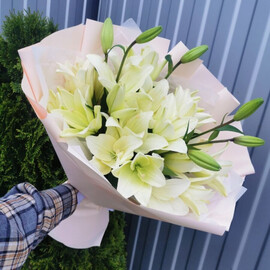 Белая лилия без запаха