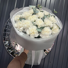 Диантусы белые