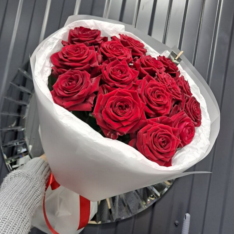 15 krasnih roz v oformlenii, standart