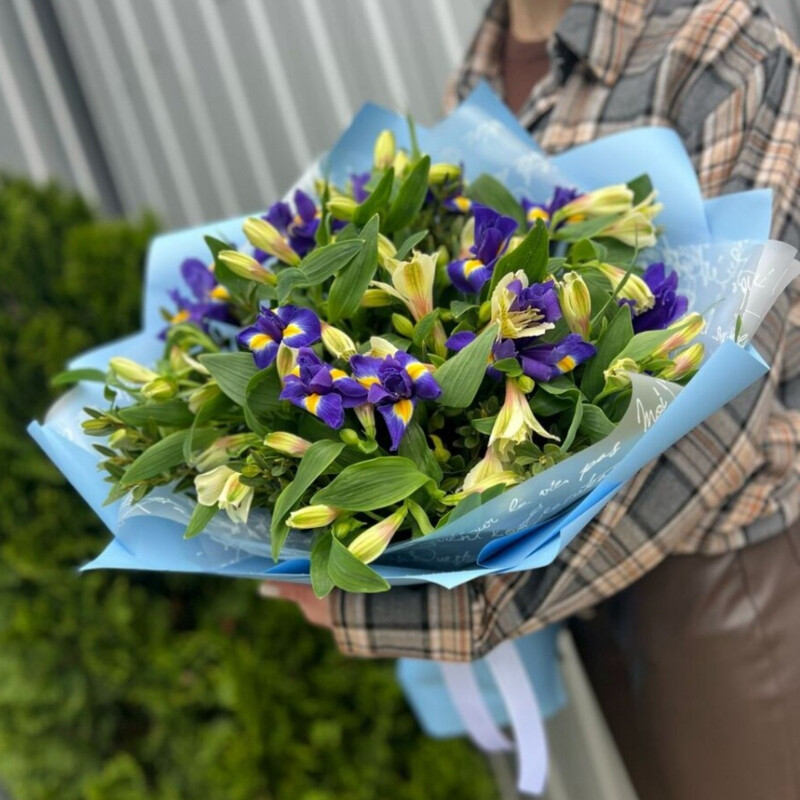 Альстромерия и ирисы, стандартный