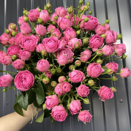 Пионовидная Роза 