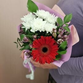 Buket-kompliment s krasnoj gerberoj i hrizantemoj