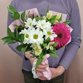 Buket-kompliment s malinovoj gerberoj i hrizantemoj