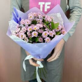 Монобукет из сиреневых ромашковых хризантем Сантини