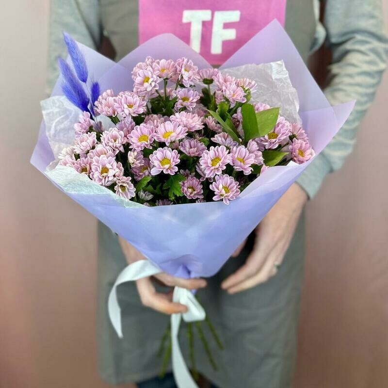 Monobuket iz sirenevih romashkovih hrizantem Santini, standart