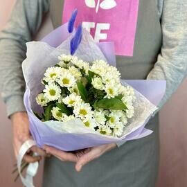 Букет из белых ромашковых сантини в сиреневой упаковке